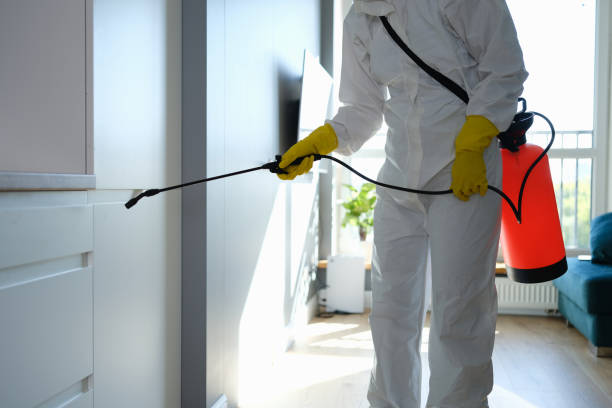 Best Crawl Space Mold Removal  in Penbrook, PA