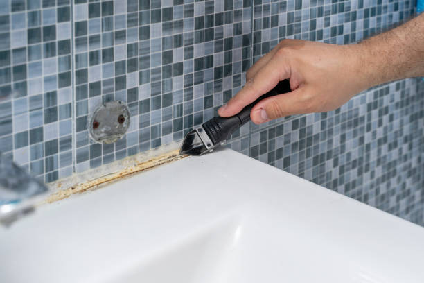 Mold Testing and Removal in Penbrook, PA