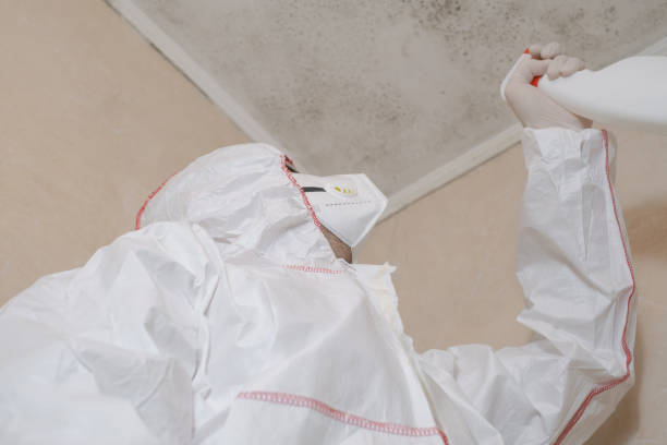 Mold Removal Process in Penbrook, PA
