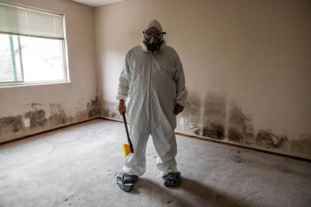 Best Mold Removal Process  in Penbrook, PA